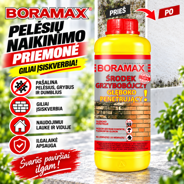 Pelėsių ir grybelio naikinimo priemonė, giliai įsiskverbianti 1L BORAMAX
