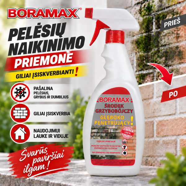 Pelėsių ir grybelio naikinimo priemonė, giliai įsiskverbianti 500 ml BORAMAX
