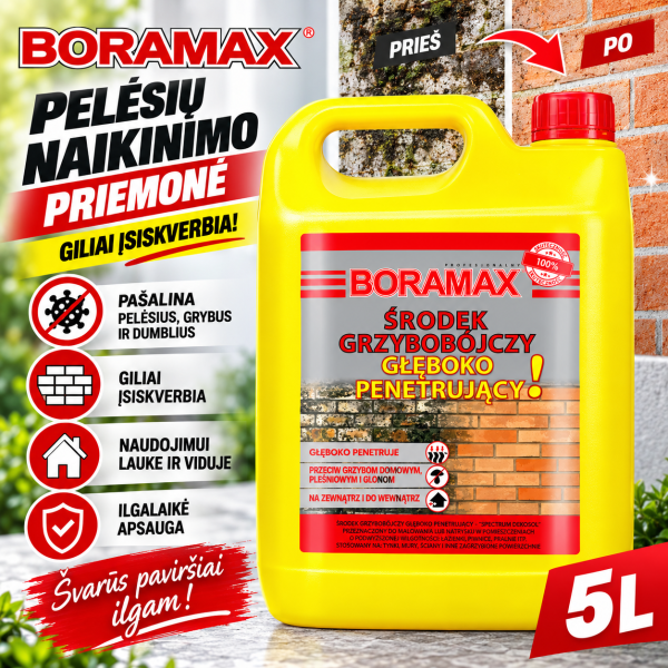 Pelėsių ir grybelio naikinimo priemonė, giliai įsiskverbianti 5L BORAMAX